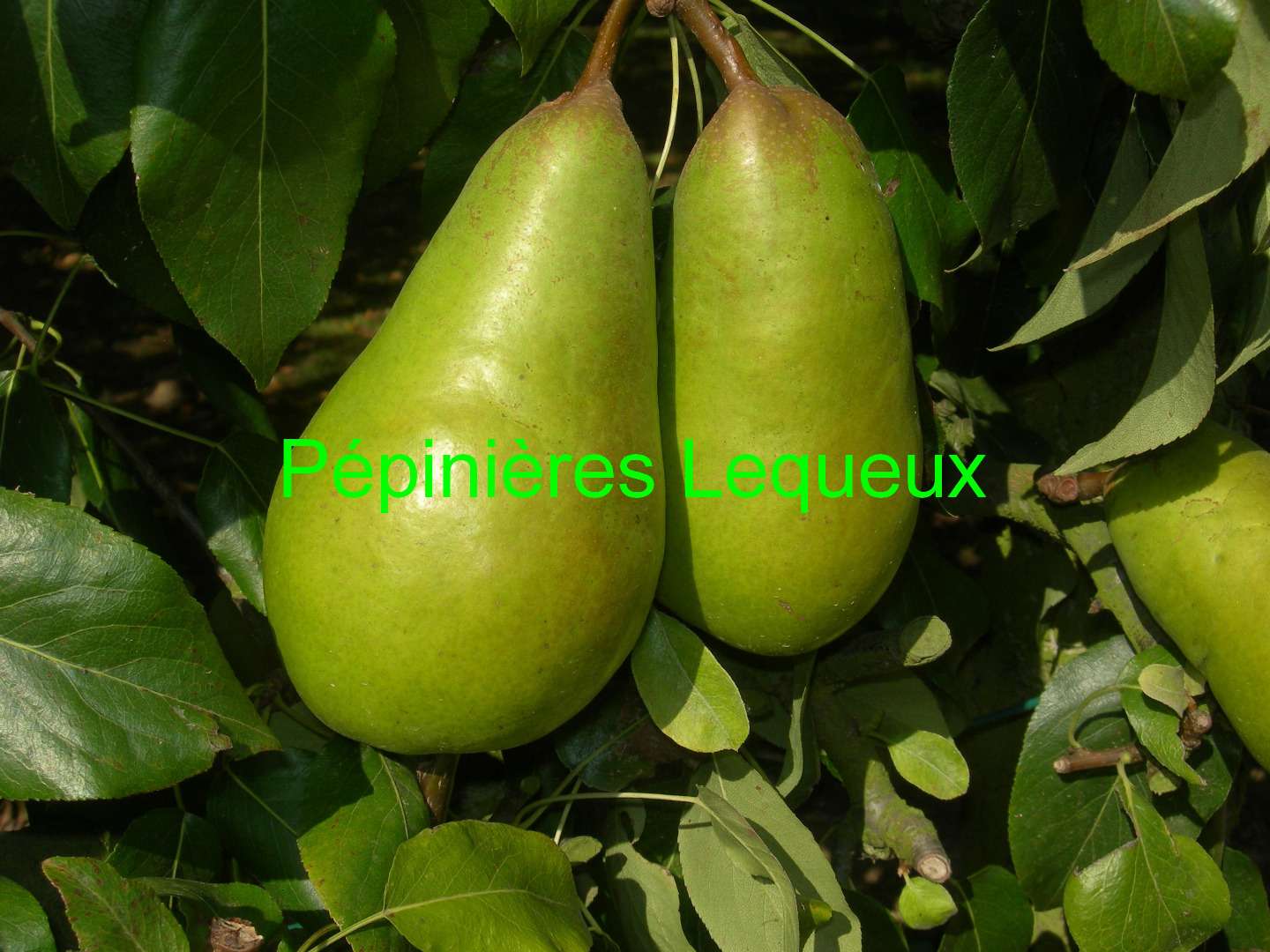 BEURRE LEBRUN